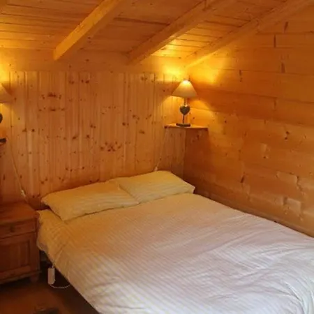 Traditionnel Alpes Holiday home